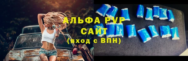сатива Баксан