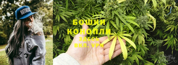 сатива Баксан