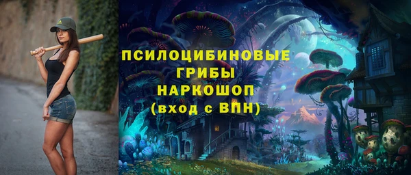 бошки Балахна