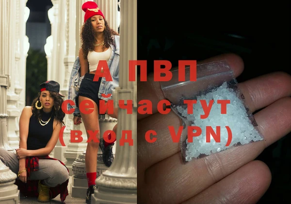 сатива Баксан