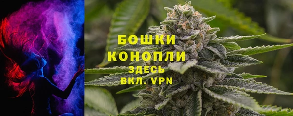 сатива Баксан