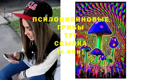 бошки Балахна