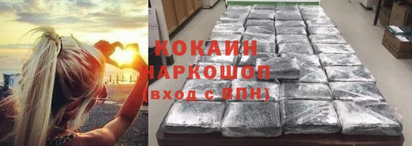 сатива Баксан