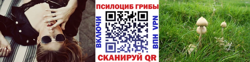 Псилоцибиновые грибы Cubensis  Нестеровская 